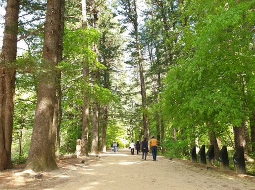 ���� ����3