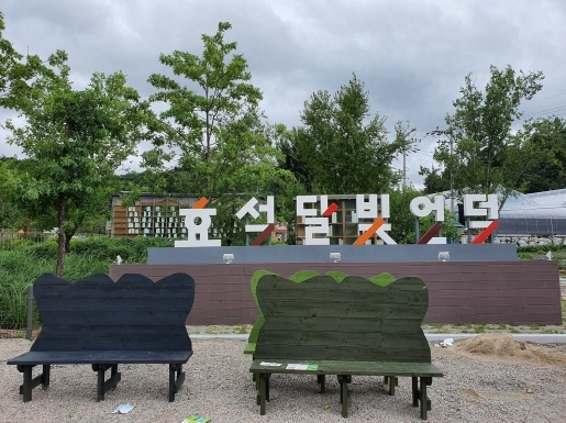 ���� ����7