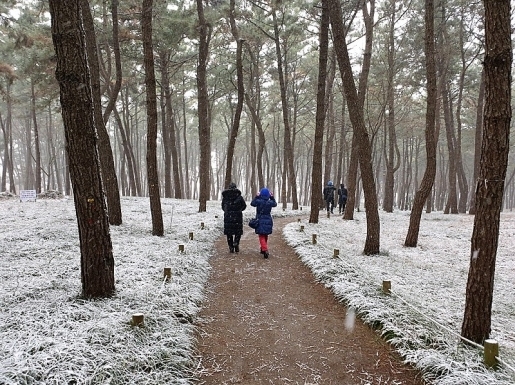 ���� ����6