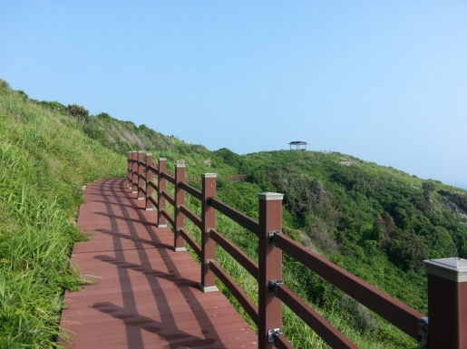 ���� ����4