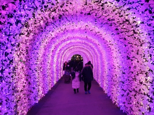 ���� ����5