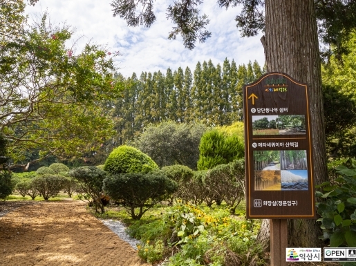 ���� ����2