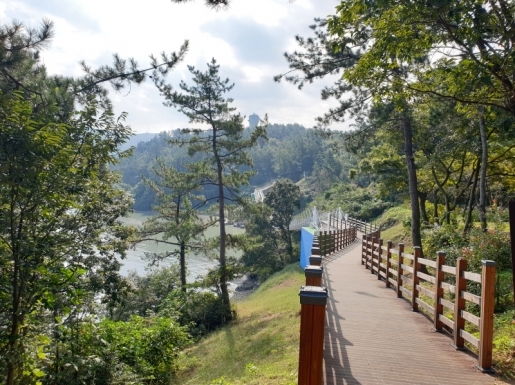 ���� ����6