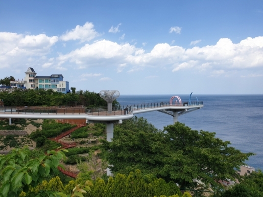 ���� ����1