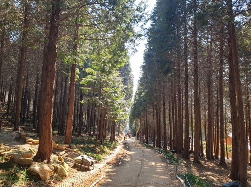 ���� ����4