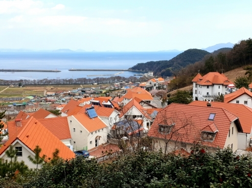 ���� ����6