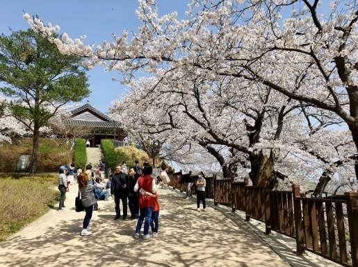 ���� ����2