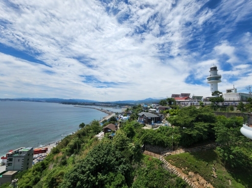 ���� ����3