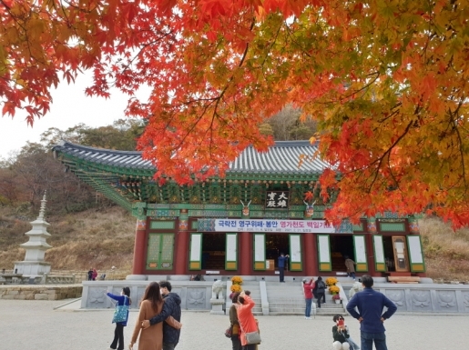 여행 사진5