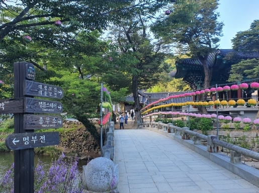 ���� ����3