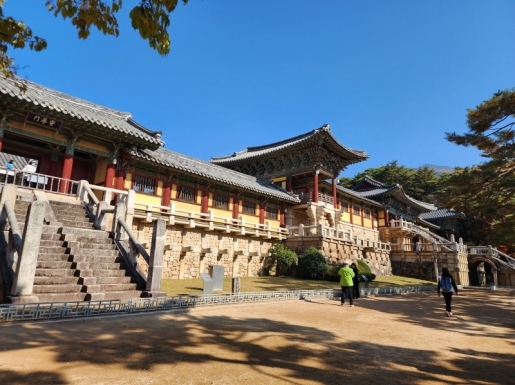 ���� ����7