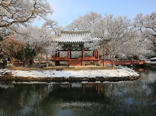 ���� ����7