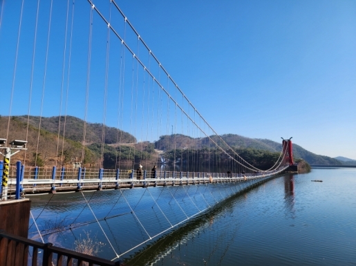 ���� ����7