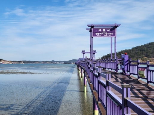 ���� ����2