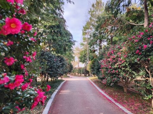 ���� ����3