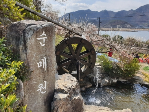 ���� ����5