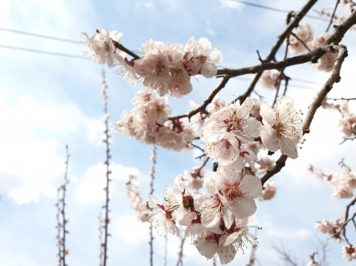 ���� ����4