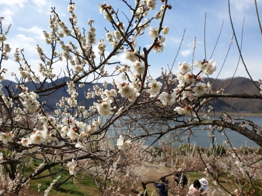 ���� ����2