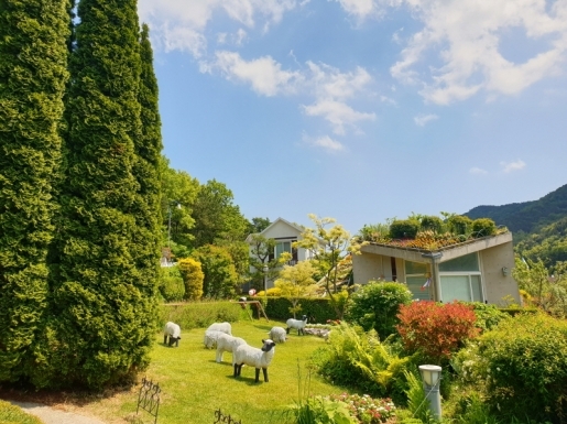 ���� ����2