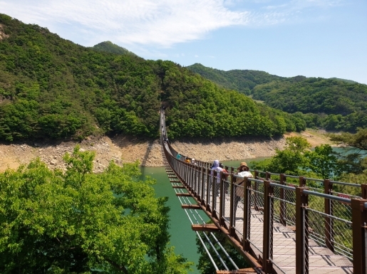 ���� ����4