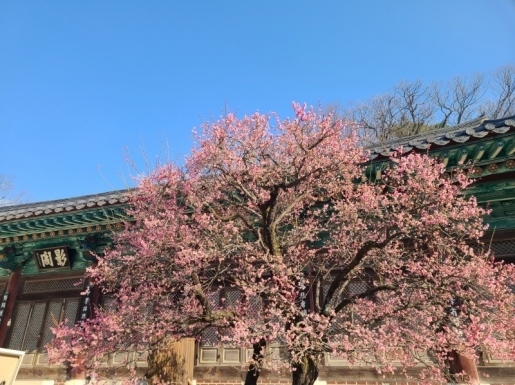 ���� ����3