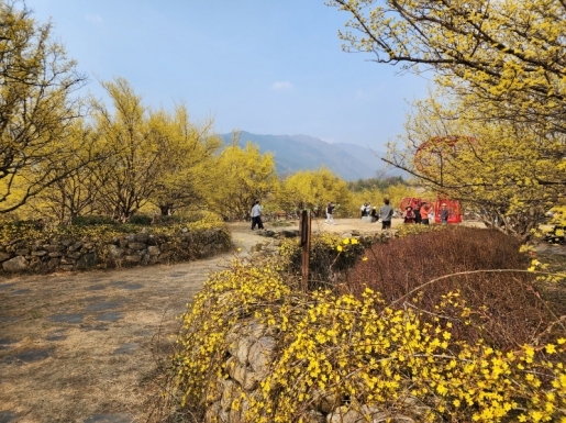 ���� ����5