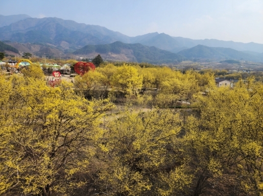 ���� ����7