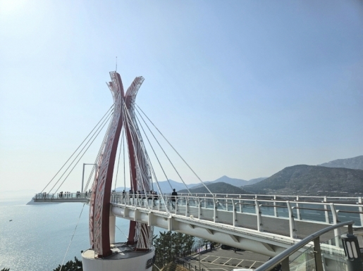 ���� ����6