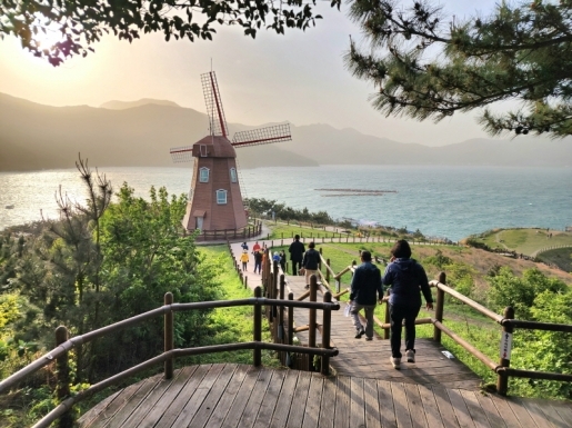 ���� ����7