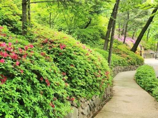 ���� ����7