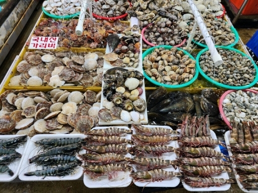 ���� ����7