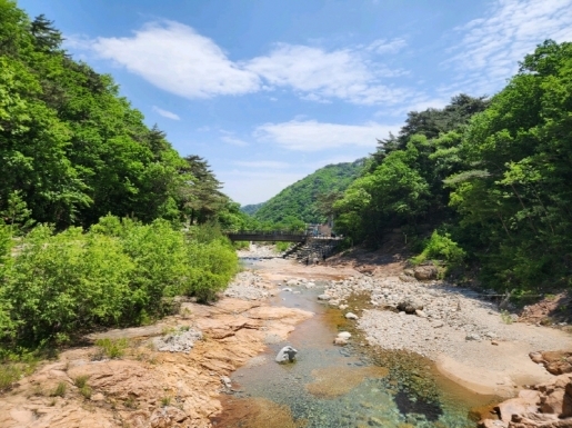 ���� ����4