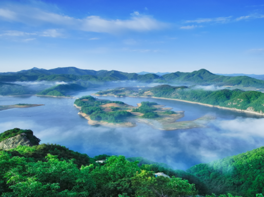 ���� ����7