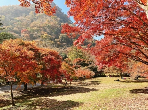 여행 사진3
