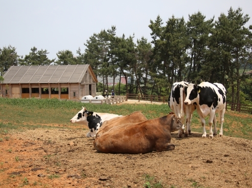 ���� ����7