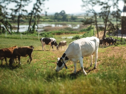 ���� ����5