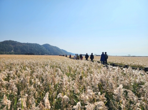 ���� ����6