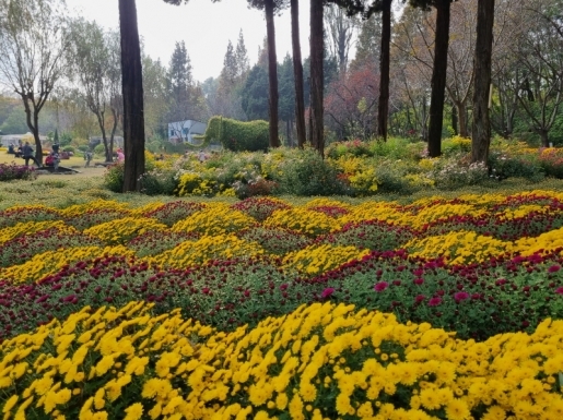 ���� ����3