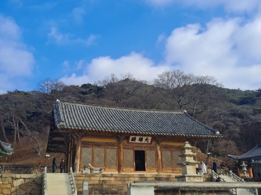 ���� ����6