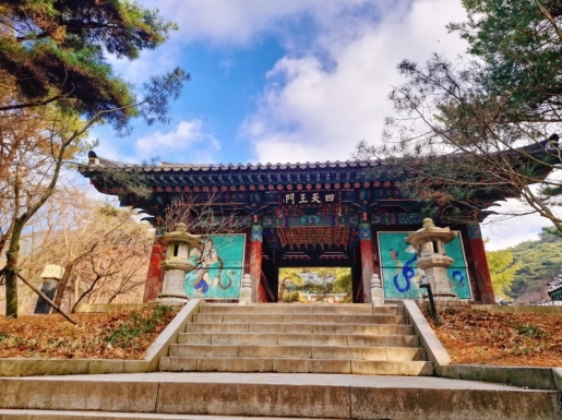 ���� ����5