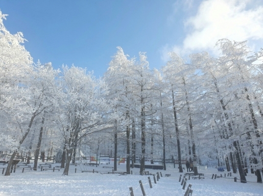 ���� ����2