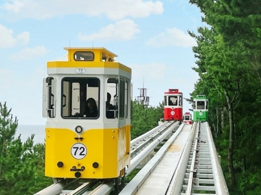 ���� ����4