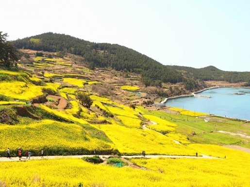 ���� ����3