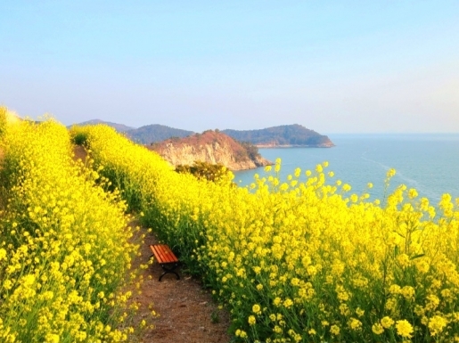 ���� ����3