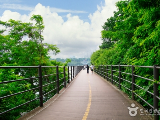 ���� ����3