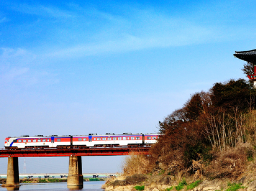 ���� ����7