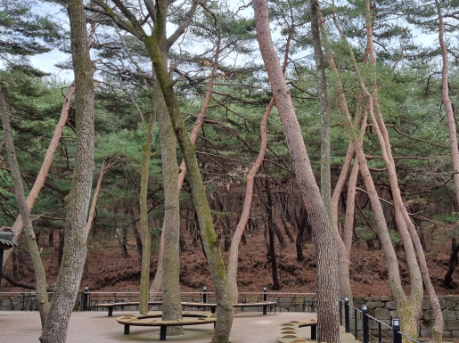 ���� ����2