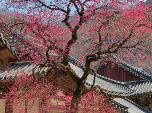 ���� ����3