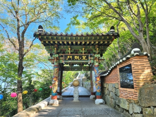 ���� ����5