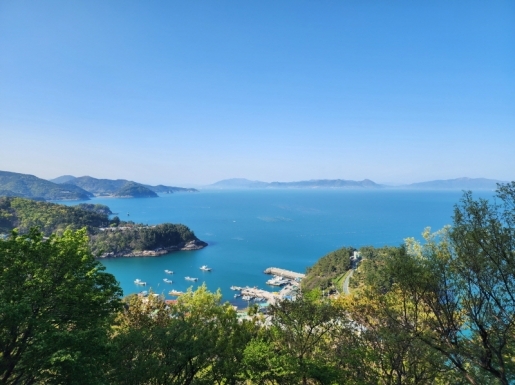 ���� ����7